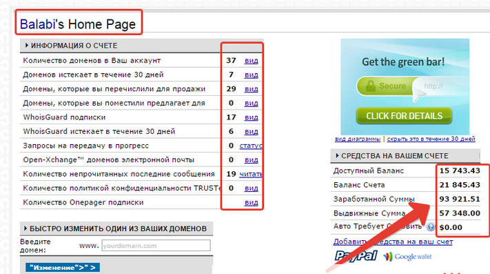 2015-02-09 21-56-47 domain-biss.ru - Google Chrome